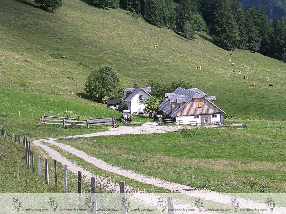 Ausflugsziele Mit Baby In Obersterreich Babyurlaub At Ausflugsziele Mit Baby In Obersterreich Babyurlaub At